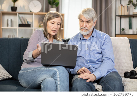 Elderly people with laptop enjoying spare time at home 102799773