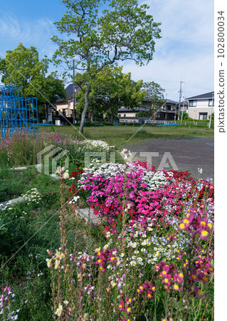 Children's park in the season of fresh green Colorful flower beds and fresh green trees ② 102800034