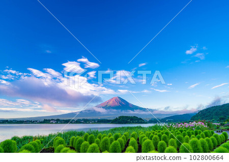 [Mt. Fuji material] Mt. Fuji seen from Lake Kawaguchi in summer [Yamanashi Prefecture] 102800664