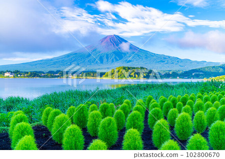 [富士山素材]夏天從河口湖看到的富士山[山梨縣] 102800670
