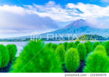 [Mt. Fuji material] Mt. Fuji seen from Lake Kawaguchi in summer [Yamanashi Prefecture] 102800676