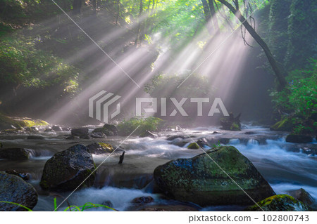[Light beam material] Summer Tatsugaeshi Falls [Nagano Prefecture] 102800743