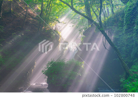 [Light beam material] Summer Tatsugaeshi Falls [Nagano Prefecture] 102800748