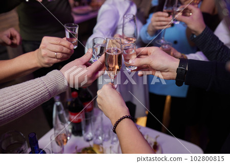 Clinking glasses with alcohol and toasting, party. 102800815