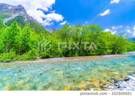 [風景]初夏的上高地[長野縣] 102800881