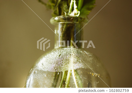 A clear glass vase with a bouquet of flowers in water. Home decor details selective focus. Floristry, floral arrangement for home in a room full of morning sunlight. Fogged glass, condensation drops. 102802759