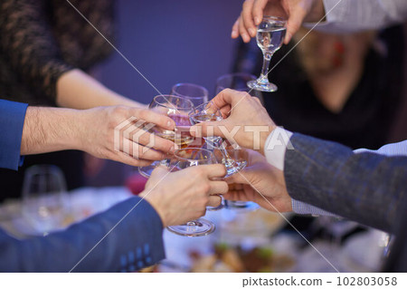 Clinking glasses with alcohol and toasting, party. 102803058