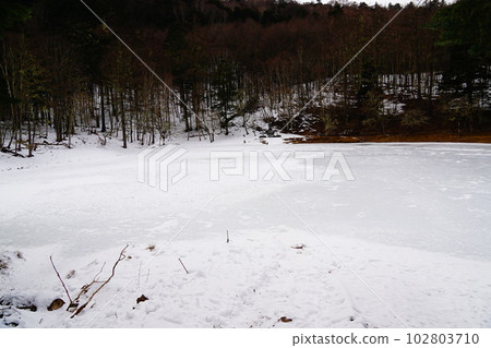 Yamanashi Shichimenzan Ninoike Yamanashi Shichimenzan Ninoike 102803710