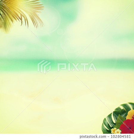 nostalgic summer beach 102804581