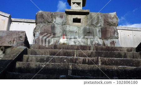 Tori-san and Local Exploration Tori-san and Local Exploration 102806180