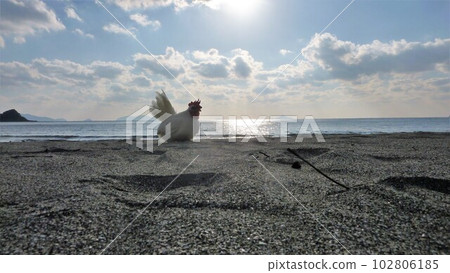 Tori-san and Local Exploration Tori-san and Local Exploration 102806185