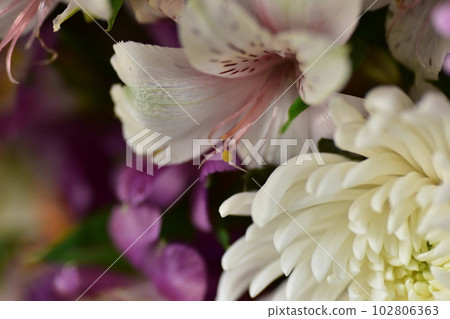 From flowers in front of the Buddha 102806363