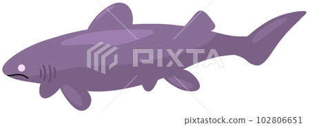 velvet shark velvet shark 102806651