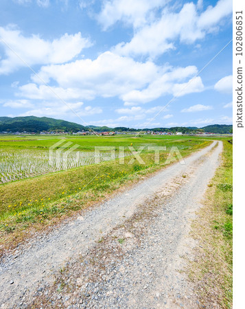 寧靜的鄉村景觀 102806851