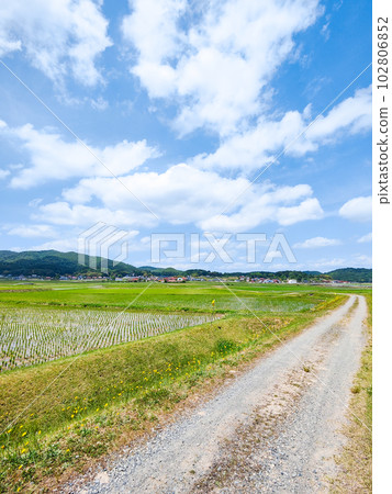 寧靜的鄉村景觀 102806852