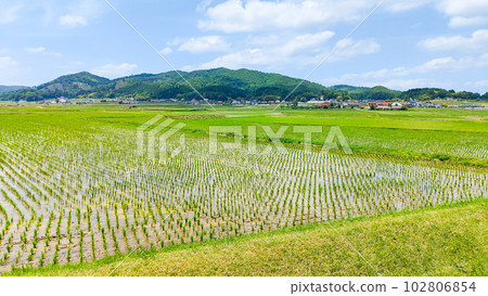 寧靜的鄉村景觀 寧靜的鄉村景觀 102806854