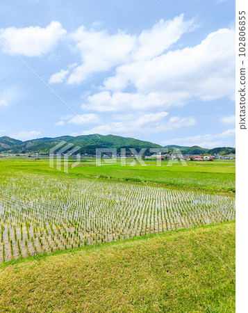 寧靜的鄉村景觀 102806855