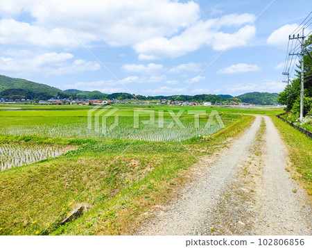 寧靜的鄉村景觀 寧靜的鄉村景觀 102806856