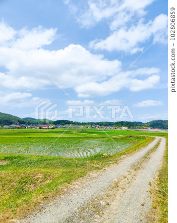 tranquil rural landscape 102806859