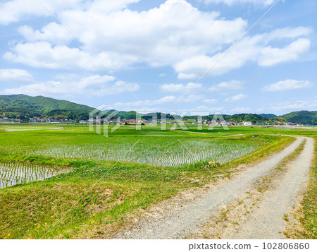 寧靜的鄉村景觀 102806860