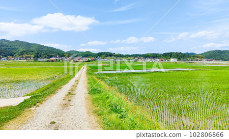tranquil rural landscape 102806866