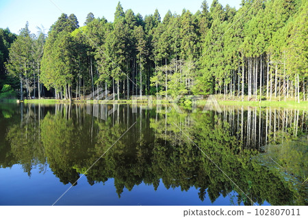 Ryuougabuchi [Muromukaibuchi, Uda City, Nara Prefecture] 102807011