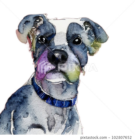 stylish dog 102807652