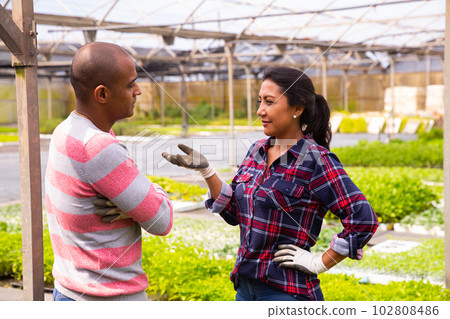 Two latino garden workers discussing working process 102808486