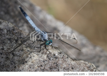 裁剪標記 102808598