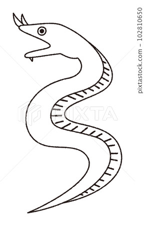 Vector line drawing illustration of a bearded moray eel Vector line drawing illustration of a bearded moray eel 102810650