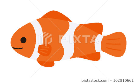 矢量圖的小丑魚 102810661