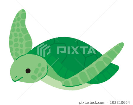 矢量圖的海龜 矢量圖的海龜 102810664