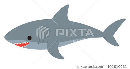 鯊魚矢量圖 102810681