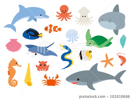 海洋生物和魚類的矢量圖解 102810686