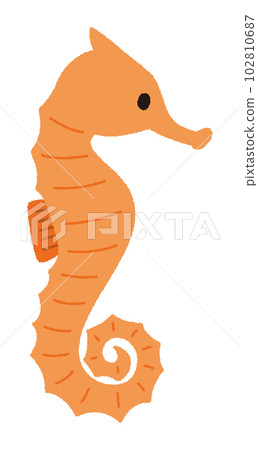 矢量圖的海馬 102810687