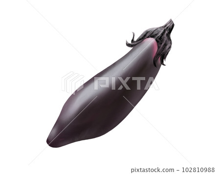 Watercolor illustration of glossy and realistic medium-length eggplant Watercolor illustration of glossy and realistic medium-length eggplant 102810988
