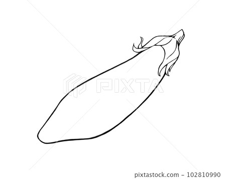 Simple line drawing illustration of medium-length eggplant Simple line drawing illustration of medium-length eggplant 102810990
