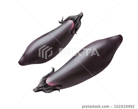 Glossy and realistic watercolor illustration of two medium-length eggplants Glossy and realistic watercolor illustration of two medium-length eggplants 102810992