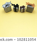 box, a box, present 102811054