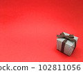 present, gift, gifts 102811056