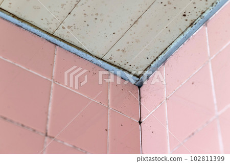 舊浴室天花板上長出黑色黴菌 102811399
