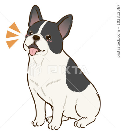 Rejoice French Bulldog (Pide) 102812367