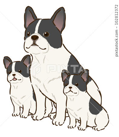 French bulldog parent and child (pied) French bulldog parent and child (pied) 102812372
