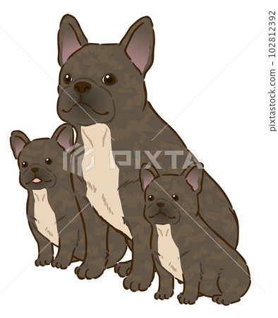 法國鬥牛犬父母和孩子（斑紋） 102812392