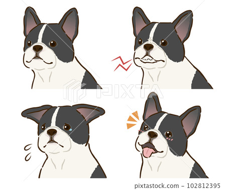 法國鬥牛犬情緒集(花色) 法國鬥牛犬情緒集(花色) 102812395