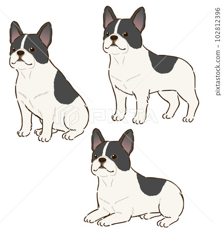 各種姿勢的法國鬥牛犬（斑點） 102812396