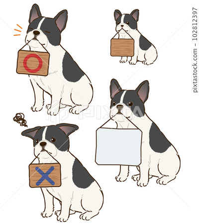 French bulldog (Pied) holding a signboard French bulldog (Pied) holding a signboard 102812397