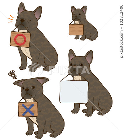 French bulldog (brindle) holding a signboard 102812406
