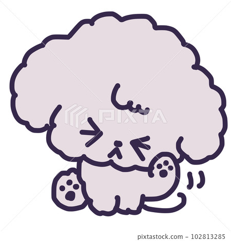 一隻可愛的玩具貴賓犬抓耳朵的插圖 一隻可愛的玩具貴賓犬抓耳朵的插圖 102813285