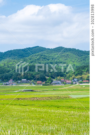寧靜的鄉村景觀 102813998